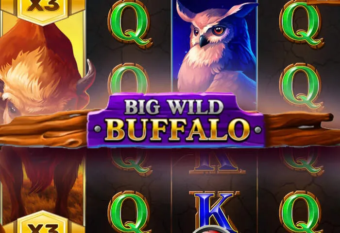 Welcome Bonus Offers & Free Spins Codes